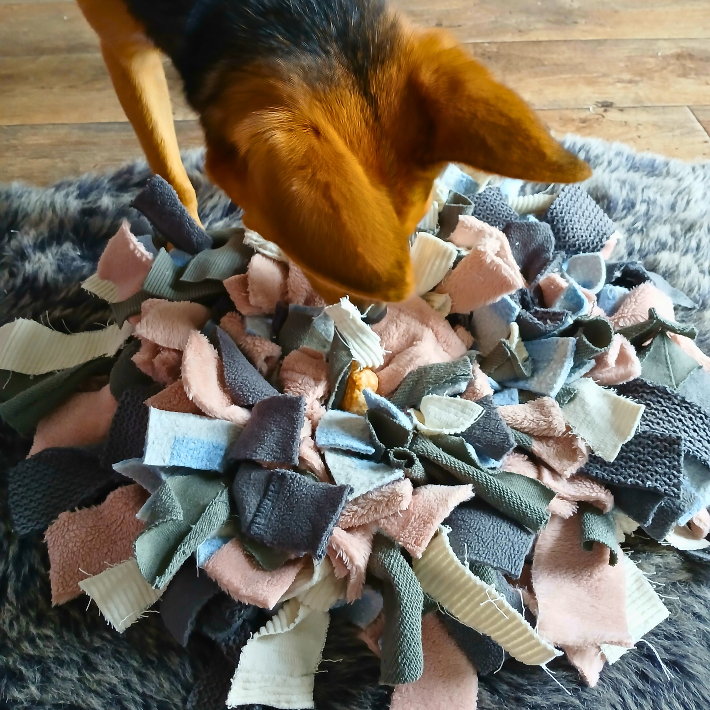 Schnüffelteppich Eco-Chaos