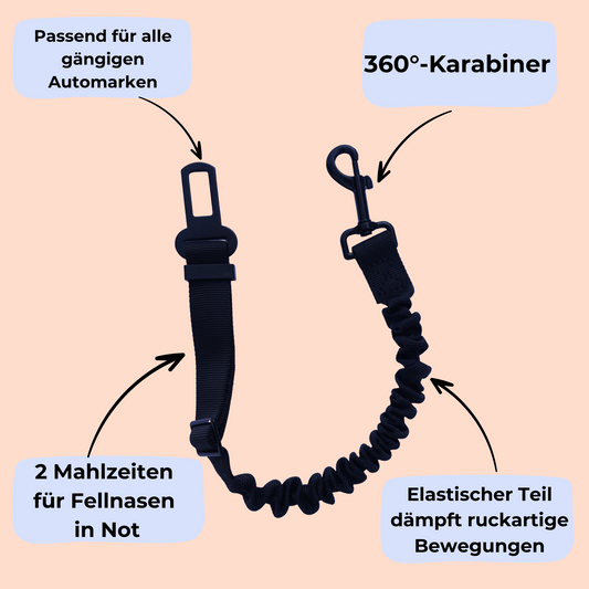 Anschnaller fürs Auto