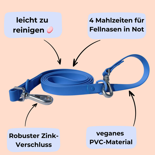 Hundeleine Heldenhalt