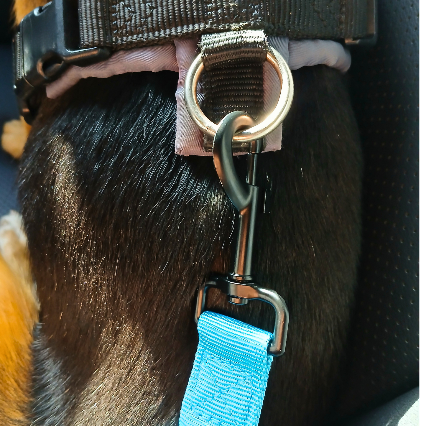 Anschnaller fürs Auto