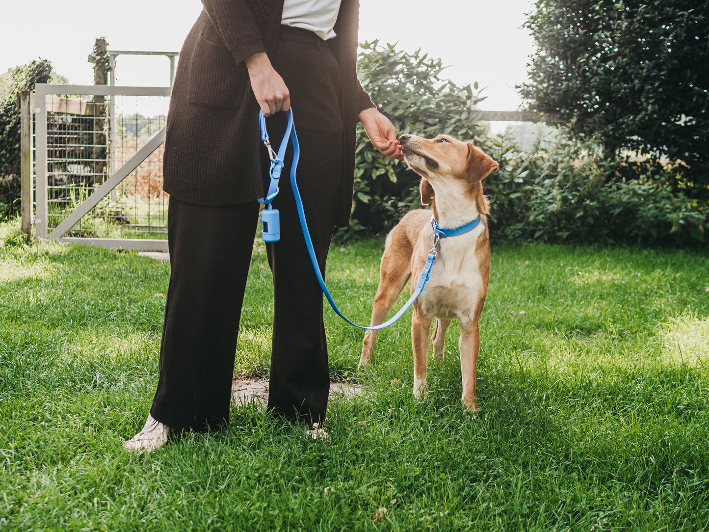 Kotbeutelspender Heldenhalt