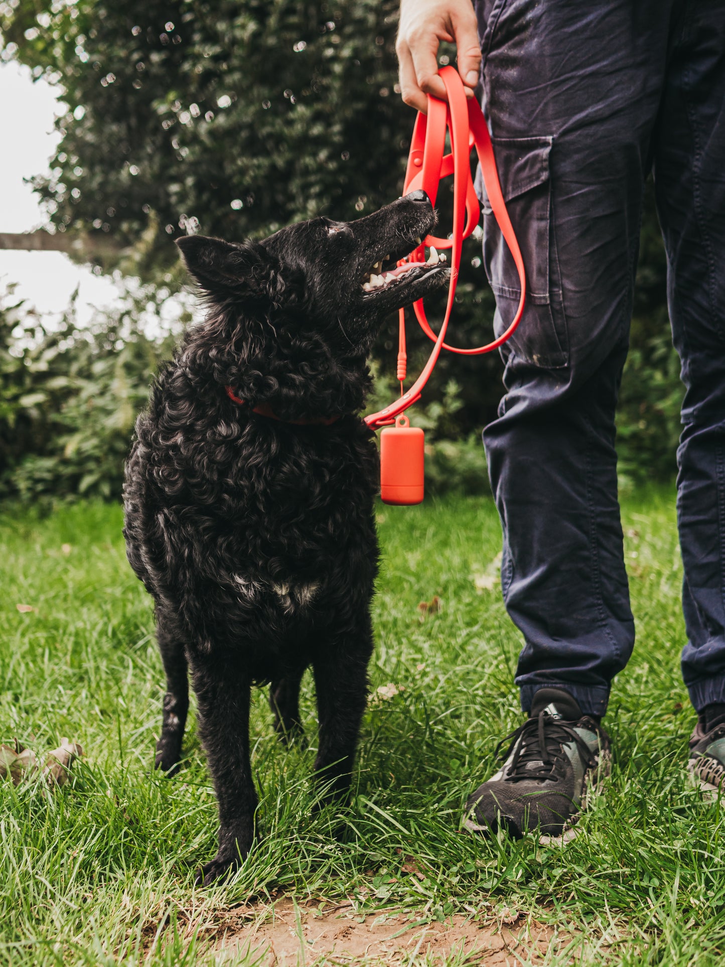 Kotbeutelspender Heldenhalt