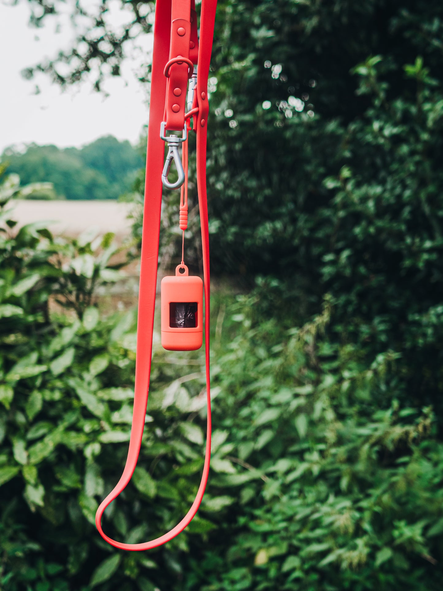 Hundeleine Heldenhalt